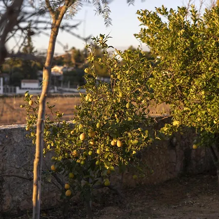 Porto Heli - Heaven On Earth